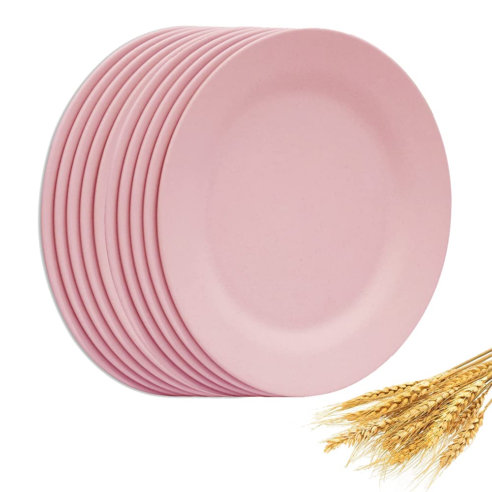 Set of 10 Large Dinner Plates 11 Inch, Reusable Wheat Straw Dessert Dishes, Round Pasta Salad Serving Plate, Unbreakable Kids Fiber Tableware for Party Steak Pizza (Beige)