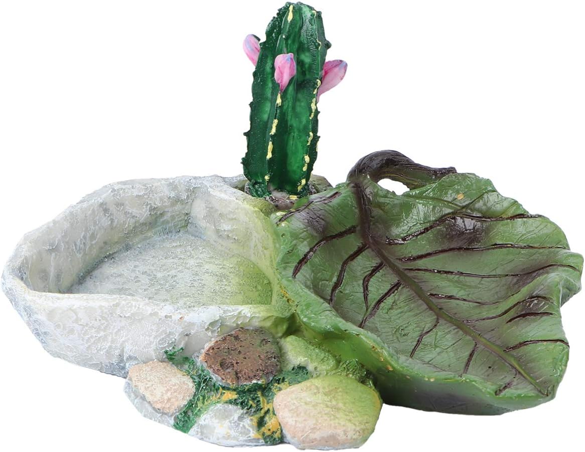 POPETPOP Reptile Water Dish: Cactus Shape Resin Reptile Feeding Dish for Bearded Dragon, Lizard, Spider