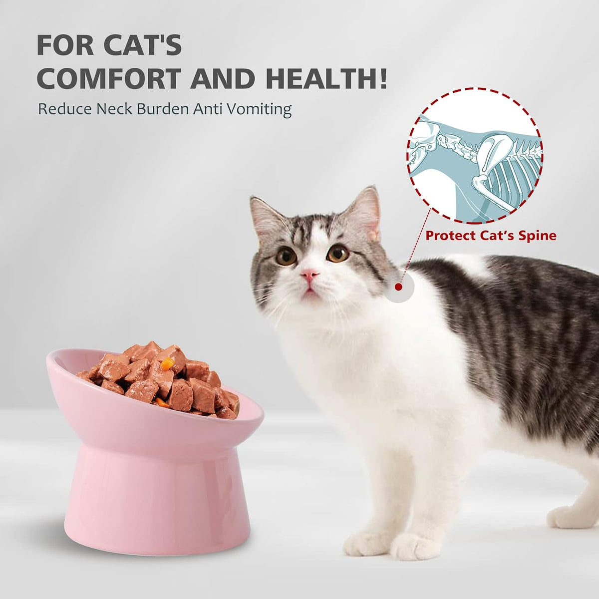 Raised Ceramic Cat Food Bowl - Elevated Base, Tilted, Anti Vomit - Whisker Friendly Shallow Wide Feeding Bowl - Microwave and Dishwasher Safe