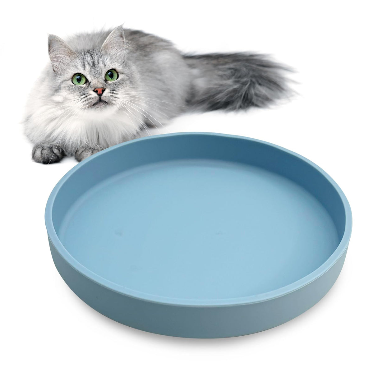 Silicone Cat Food Bowl Shallow Dishes 5.9in Wide Cats Bowls Set of 2 Kitty Plates Relief Whisker Fatigue Puppy Feeding Bowl for Dry Food and Wet Food Indoor (Round Green)