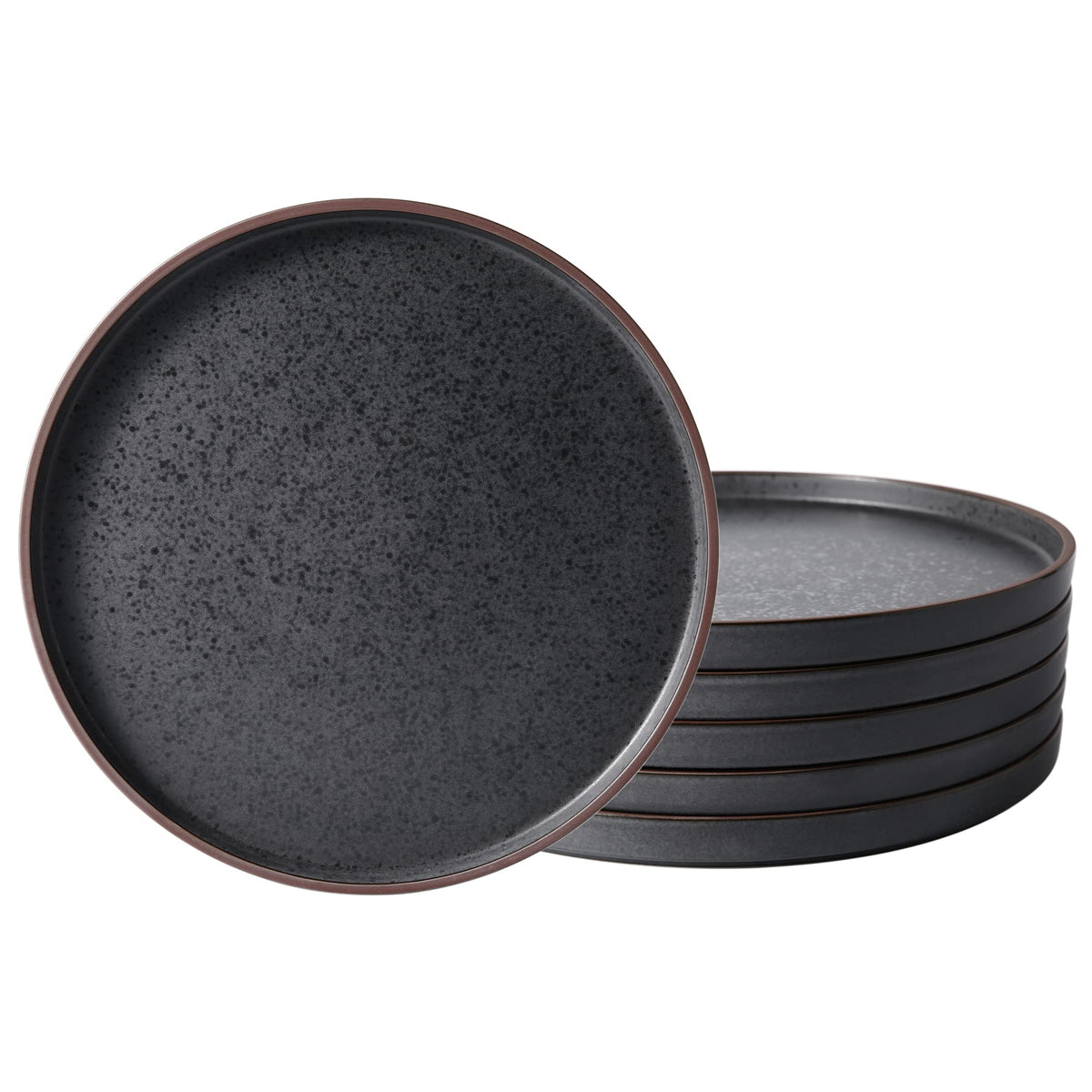 LERATIO Ceramic Dinner Plates Set of 6,10.25 inch Large ceramic plates