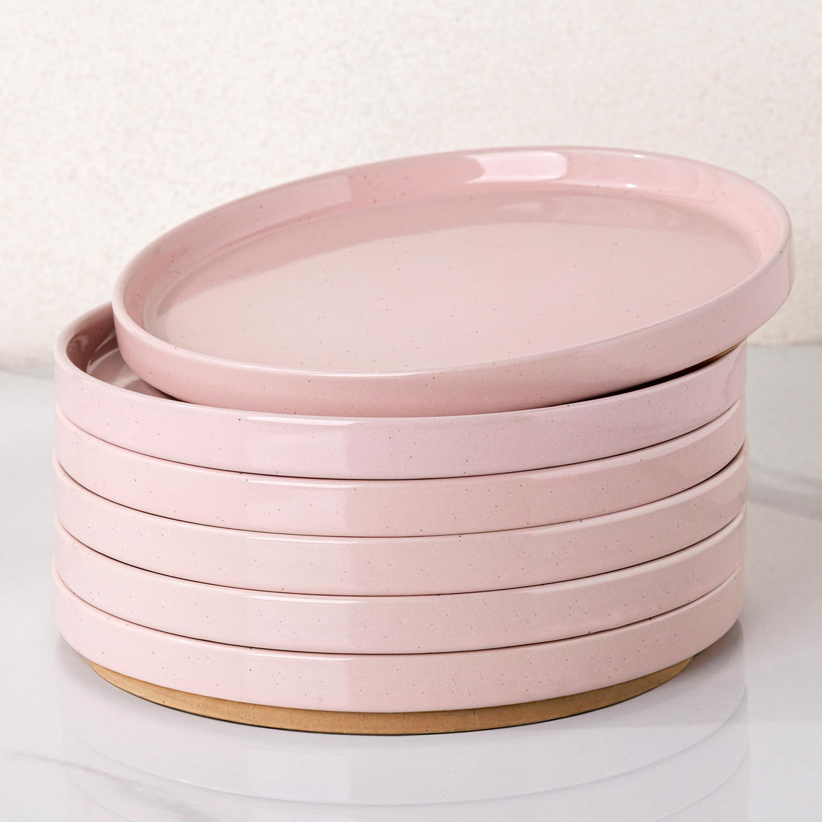 AmorArc Ceramic Dinner Plates Set of 6,10.0 Inch Matte Stoneware Plates Set