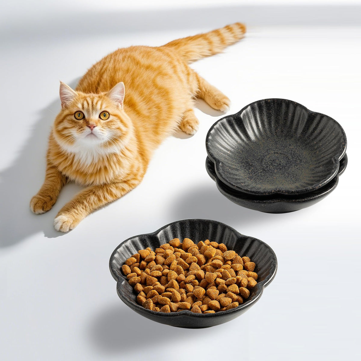 Mecaikru Ceramic Cat Food Bowls, Whisker Friendly Shallow Plates Set of 3