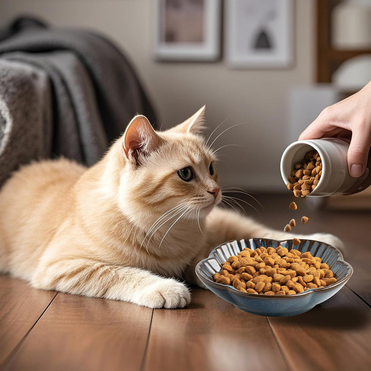 Mecaikru Ceramic Cat Food Bowls, Whisker Friendly Shallow Plates Set of 3