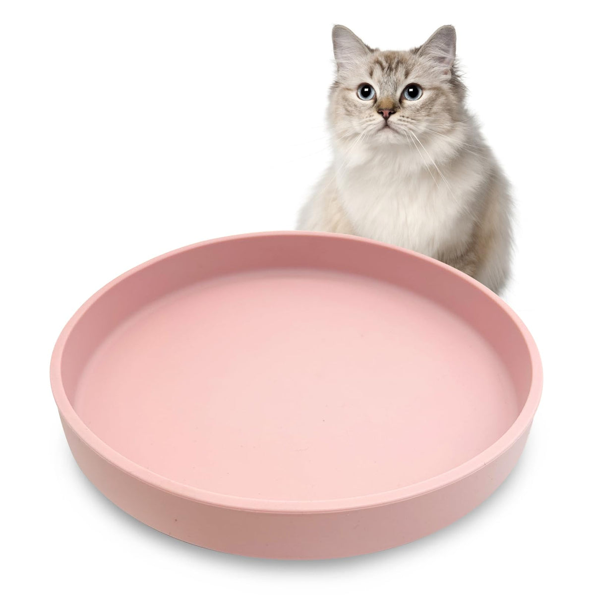 Silicone Cat Food Bowl Shallow Dishes 5.9in Wide Cats Bowls Set of 2 Kitty Plates Relief Whisker Fatigue Puppy Feeding Bowl for Dry Food and Wet Food Indoor (Round Green)