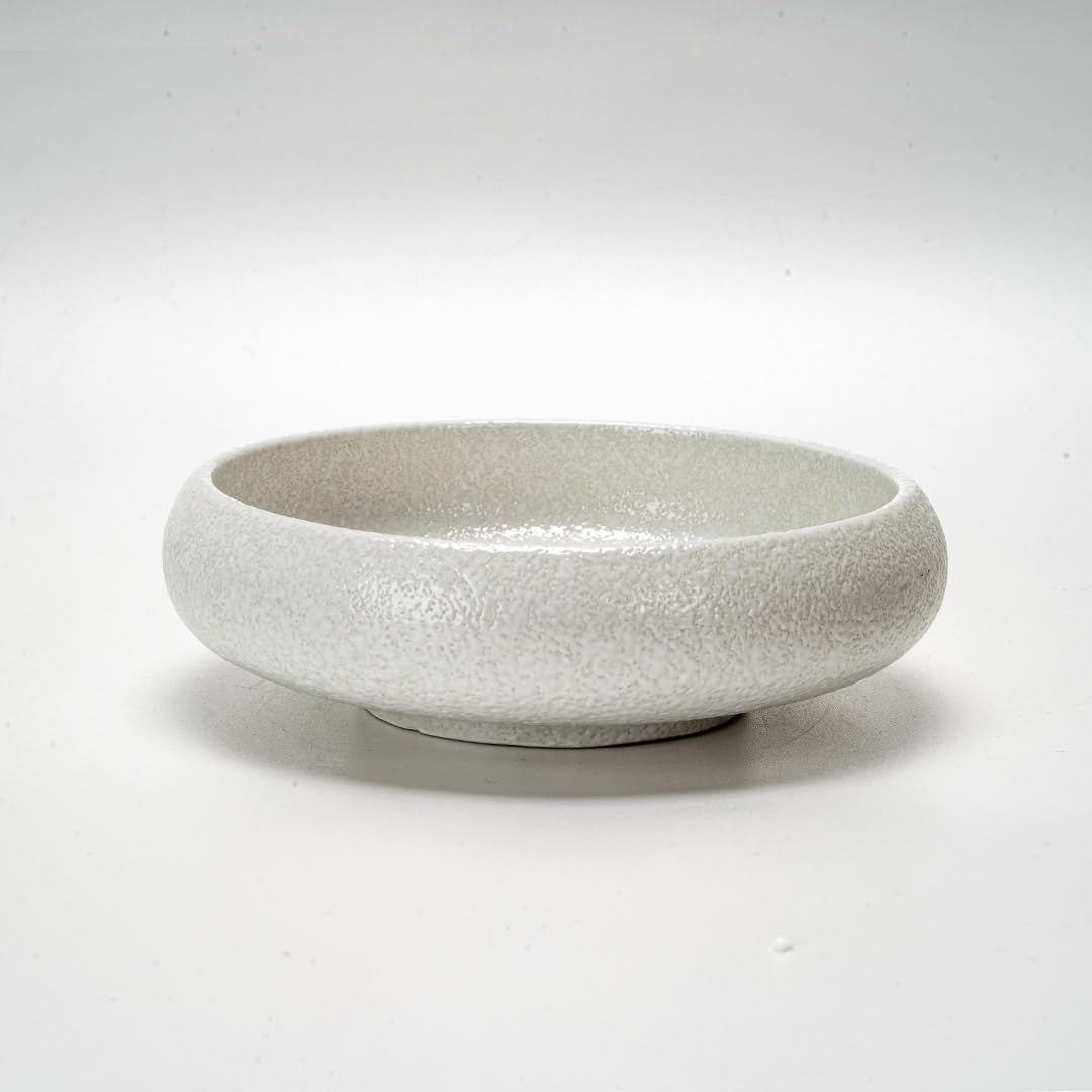 Urban Tokyo Japanese Living Zen Style Porcelain Shallow Dish Reactive Glazed Sashimi Korean Banchan Appetizer Snack Dish Set of 4 Restaurant Tableware (Flower Snow (Yuki No Hana))