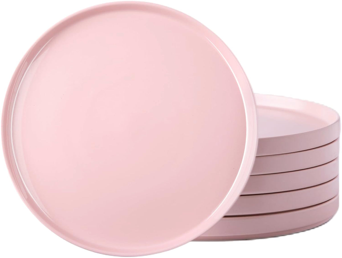 AmorArc Ceramic Dinner Plates Set of 6,10.0 Inch Matte Stoneware Plates Set
