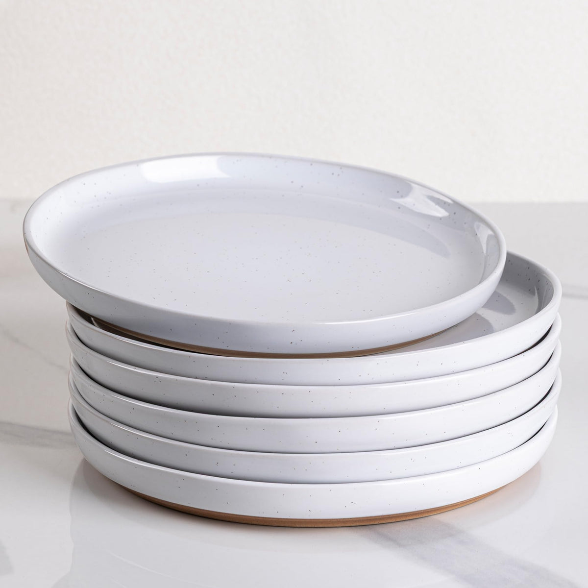 AmorArc Ceramic Dinner Plates Set of 6,10.0 Inch Matte Stoneware Plates Set