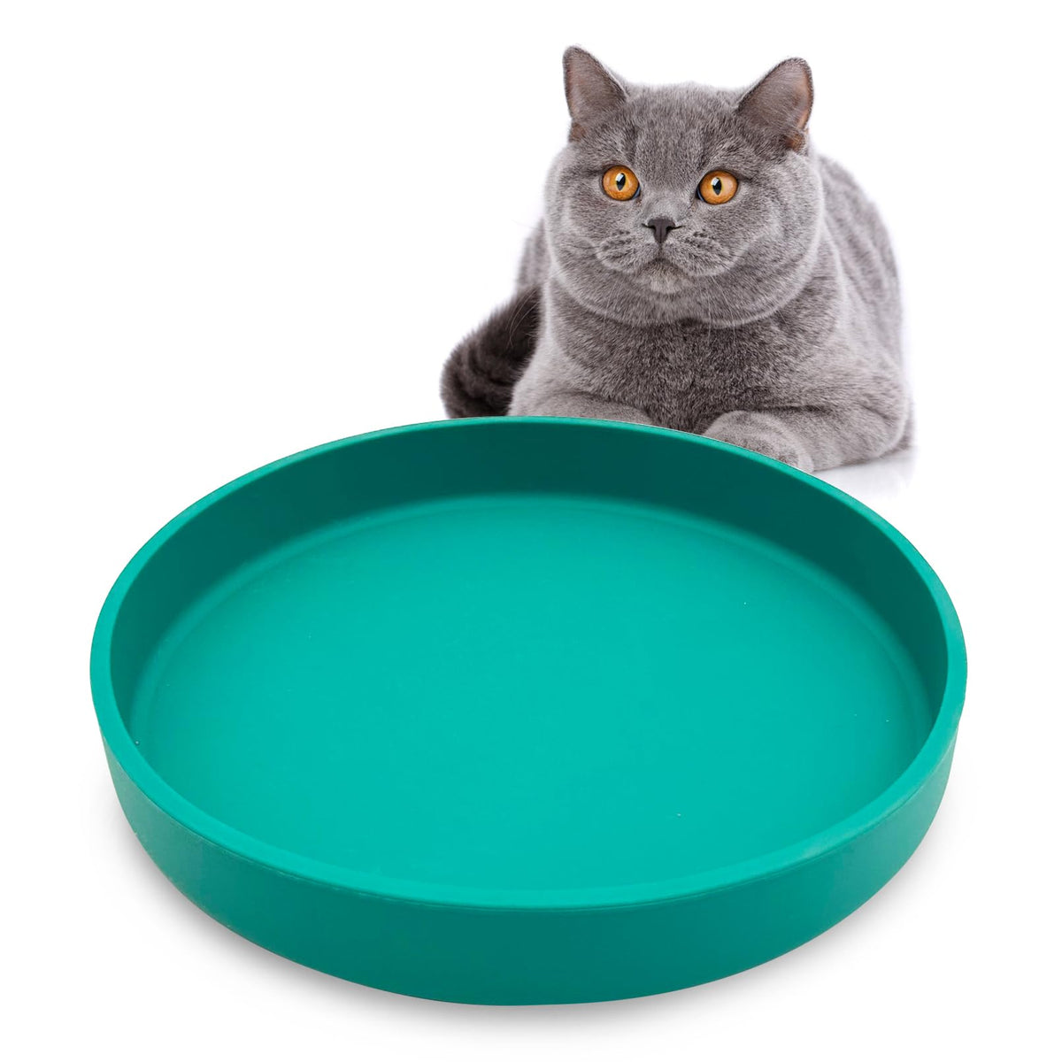 Silicone Cat Food Bowl Shallow Dishes 5.9in Wide Cats Bowls Set of 2 Kitty Plates Relief Whisker Fatigue Puppy Feeding Bowl for Dry Food and Wet Food Indoor (Round Green)