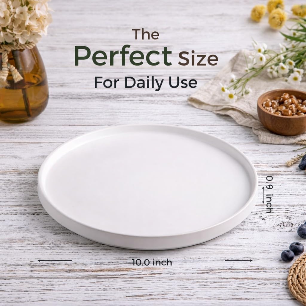 AmorArc Ceramic Dinner Plates Set of 6,10.0 Inch Matte Stoneware Plates Set