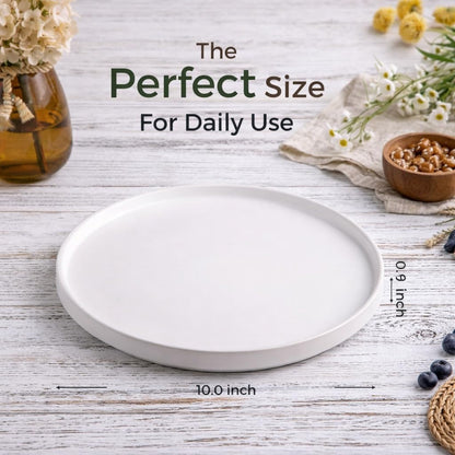 AmorArc Ceramic Dinner Plates Set of 6,10.0 Inch Matte Stoneware Plates Set