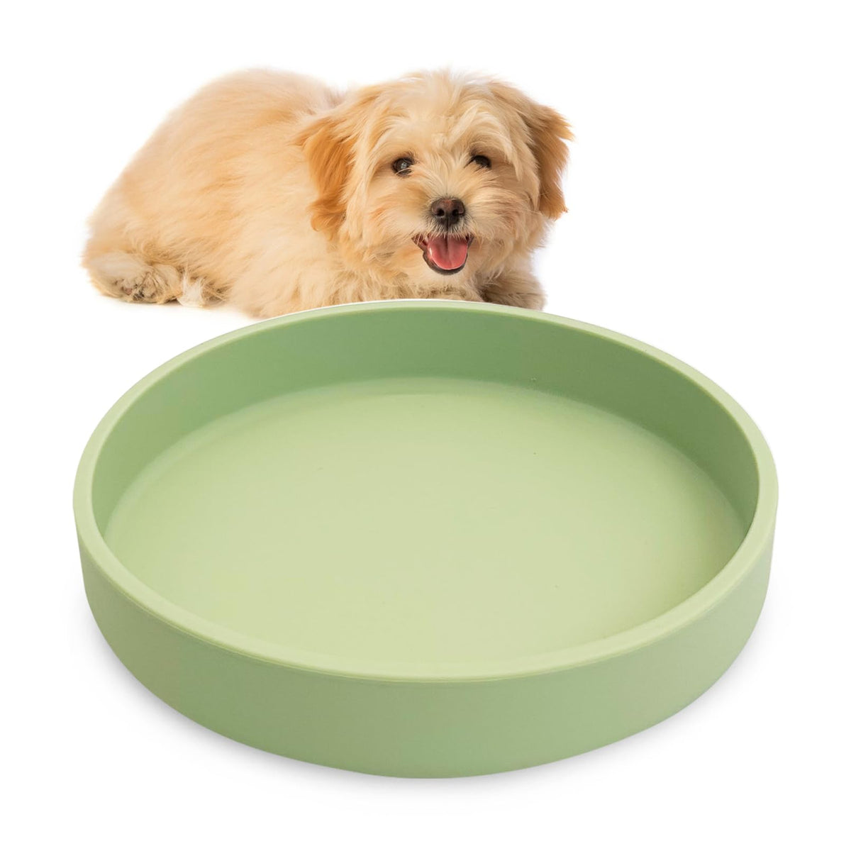 Silicone Cat Food Bowl Shallow Dishes 5.9in Wide Cats Bowls Set of 2 Kitty Plates Relief Whisker Fatigue Puppy Feeding Bowl for Dry Food and Wet Food Indoor (Round Green)