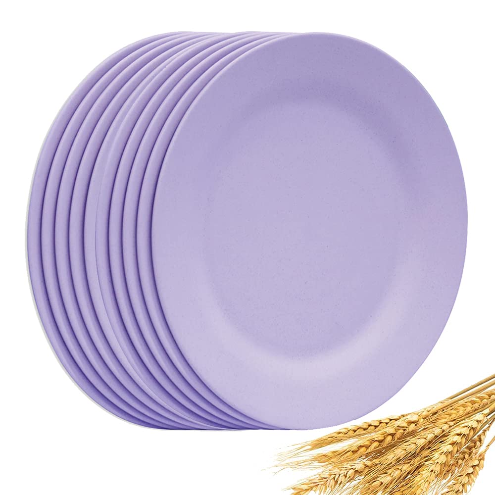 Set of 10 Large Dinner Plates 11 Inch, Reusable Wheat Straw Dessert Dishes, Round Pasta Salad Serving Plate, Unbreakable Kids Fiber Tableware for Party Steak Pizza (Beige)