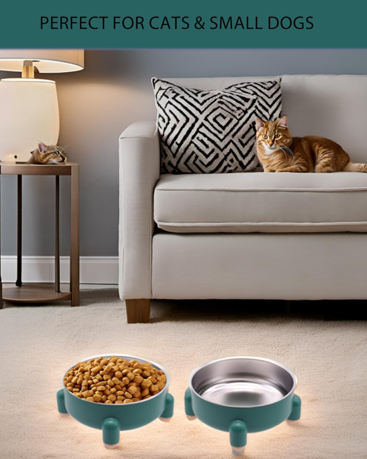 Elevated Cat Bowl Stainless Steel - Raised Cat Food Bowl, Anti Vomiting Whisker Friendly Shallow Dish, 3 Cups (24 oz) Non-Slip Dishwasher Safe for Indoor Cats Senior Kitten (Green, 1-Pack)