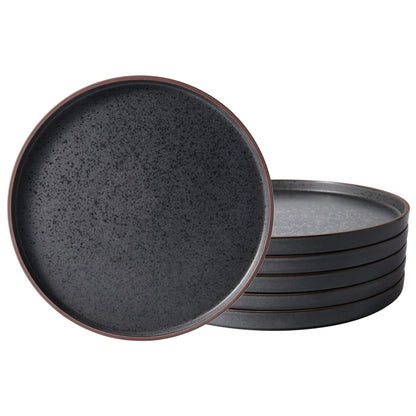 LERATIO Ceramic Dinner Plates Set of 6,10.25 inch Large ceramic plates