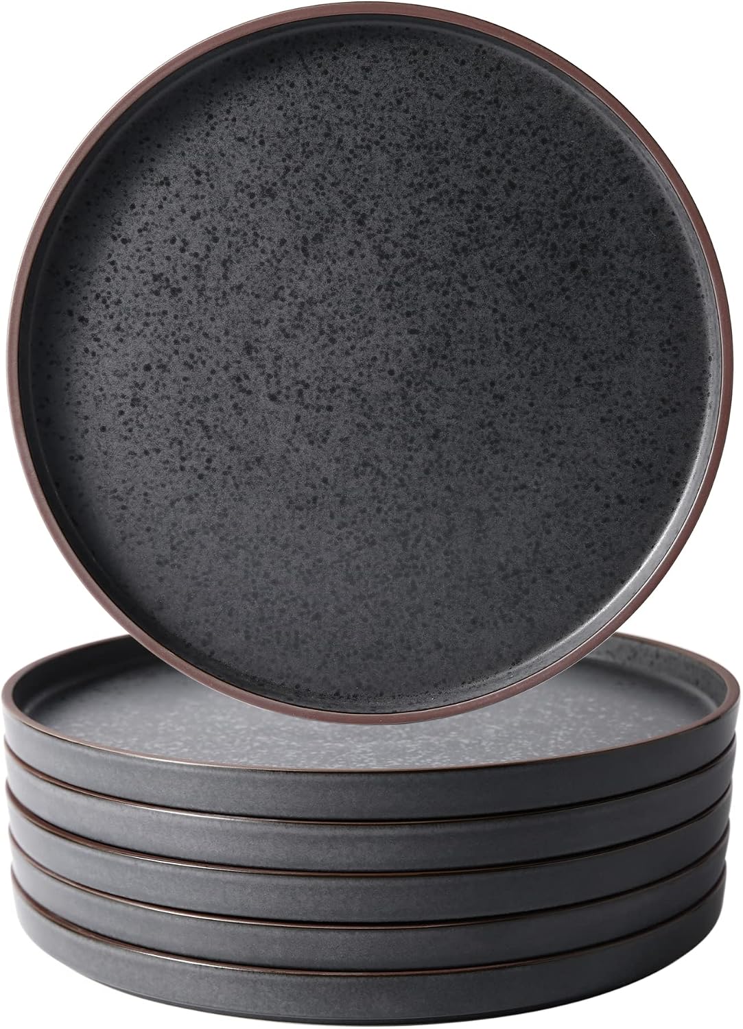 LERATIO Ceramic Dinner Plates Set of 6,10.25 inch Large ceramic plates
