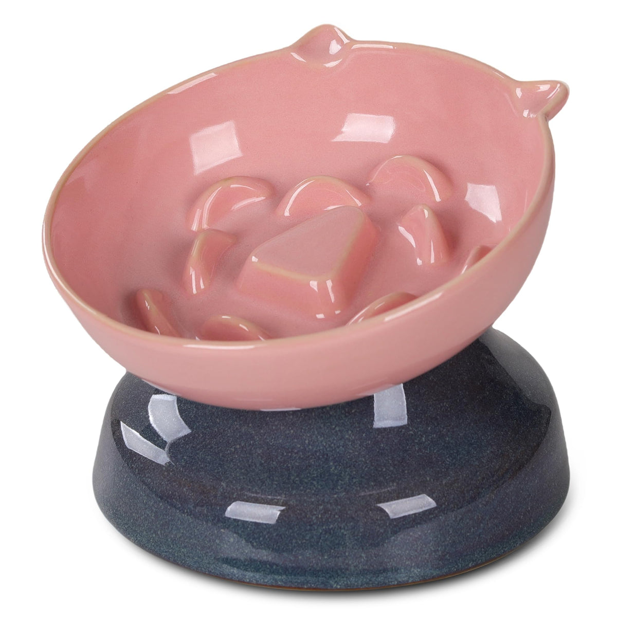 Ceramic Slow Feeder Cat Bowl, 15-Degree Tilted Non-Slip