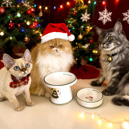 Cinf Ceramic Set of 2 Pet Raised Footed & Snack Bowl with Funny Christmas Design and Non-Slip Silicone Pads