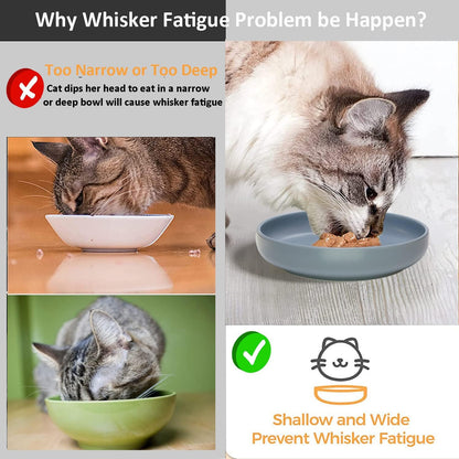 Ceramic Cat Bowls,Shallow Cat Dishes for Food and Water, 6 inch Matte Finish Wide Cat Food Bowl,Whisker Fatigue Free Pet Puppy Kitten Bowl Set of 3,Dishwasher Safe