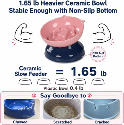 Ceramic Slow Feeder Cat Bowl, 15-Degree Tilted Non-Slip