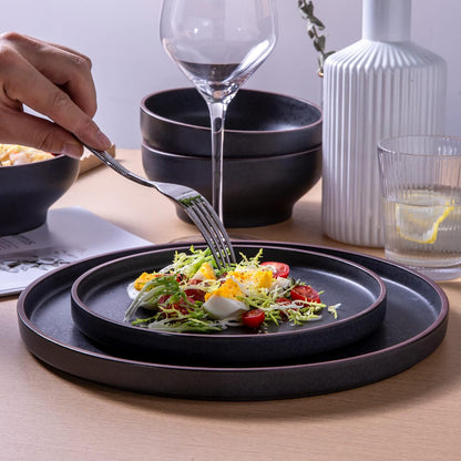 LERATIO Ceramic Dinner Plates Set of 6,10.25 inch Large ceramic plates