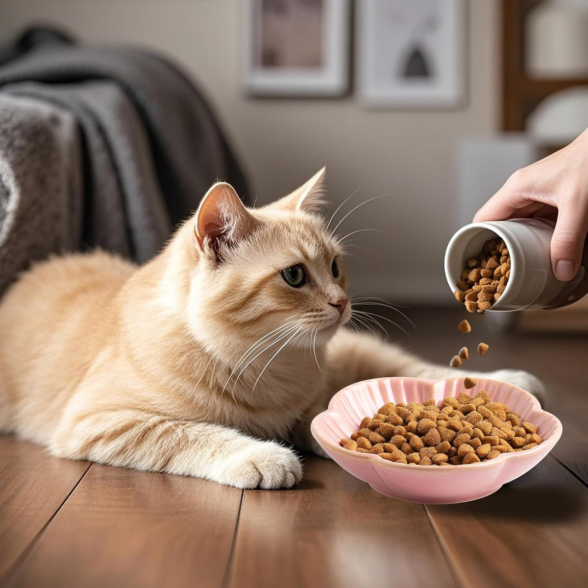 Mecaikru Ceramic Cat Food Bowls, Whisker Friendly Shallow Plates Set of 3