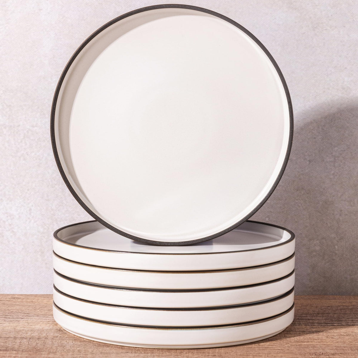 LERATIO Ceramic Dinner Plates Set of 6,10.25 inch Large ceramic plates