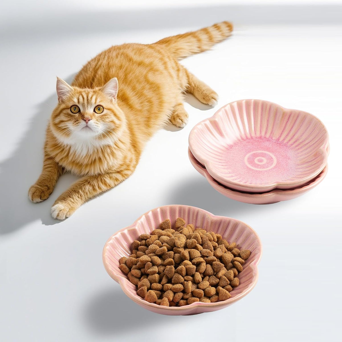 Mecaikru Ceramic Cat Food Bowls, Whisker Friendly Shallow Plates Set of 3