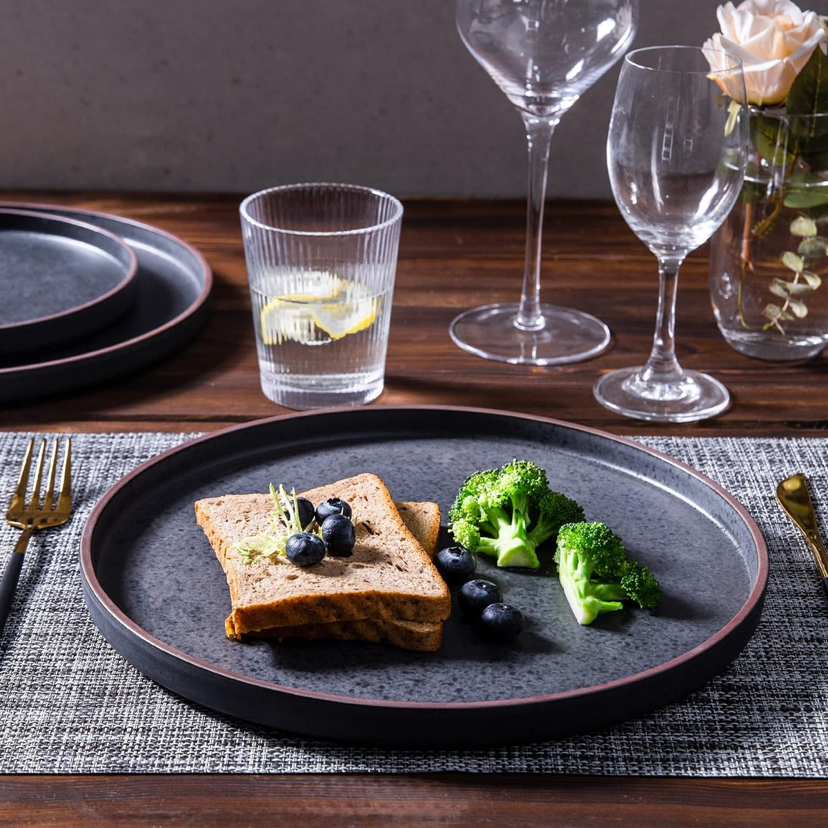 LERATIO Ceramic Dinner Plates Set of 6,10.25 inch Large ceramic plates