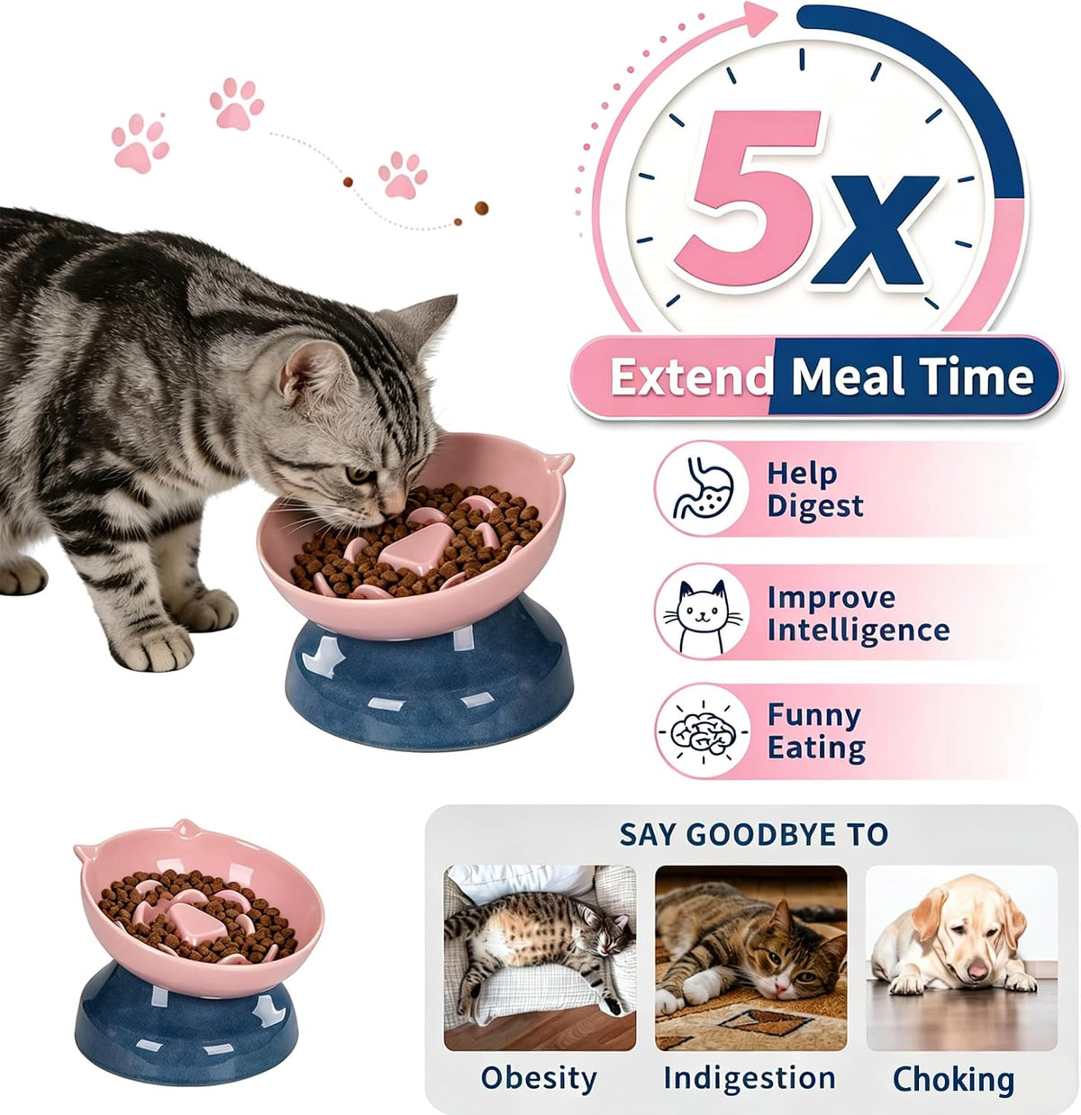 Ceramic Slow Feeder Cat Bowl, 15-Degree Tilted Non-Slip
