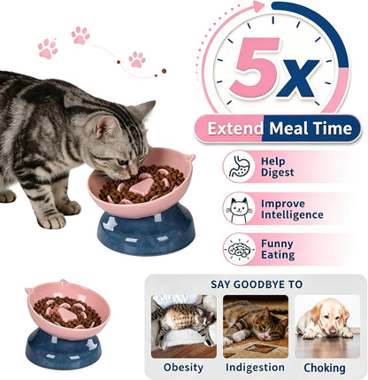 Ceramic Slow Feeder Cat Bowl, 15-Degree Tilted Non-Slip