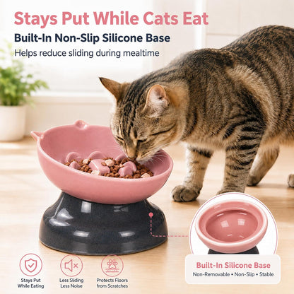 Ceramic Slow Feeder Cat Bowl, 15-Degree Tilted Non-Slip