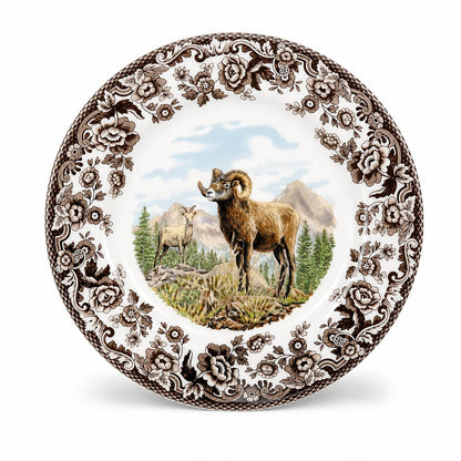 Spode Woodland Hunting Dogs Flat Coated Pointer Salad Plate