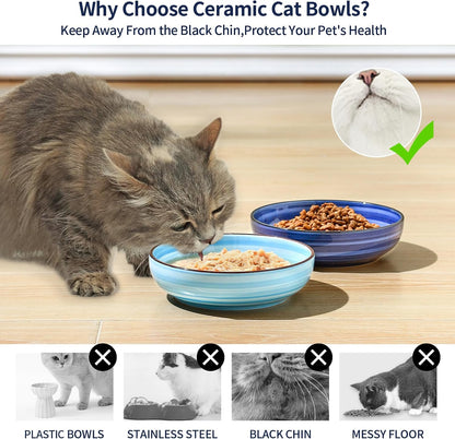 Selamica Ceramic Cat Bowls Set of 6, 5.6 Inch Cat Food Bowl, Gradient Blue